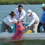 Pemex apoya a ostricultores de Tabasco para repoblar sistemas lagunares
