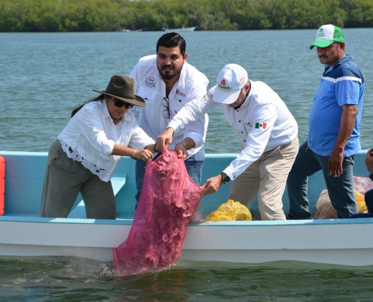 Pemex apoya a ostricultores de Tabasco para repoblar sistemas lagunares