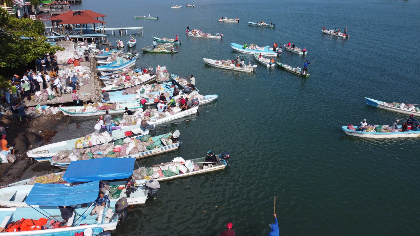 Pemex apoya a ostricultores de Tabasco