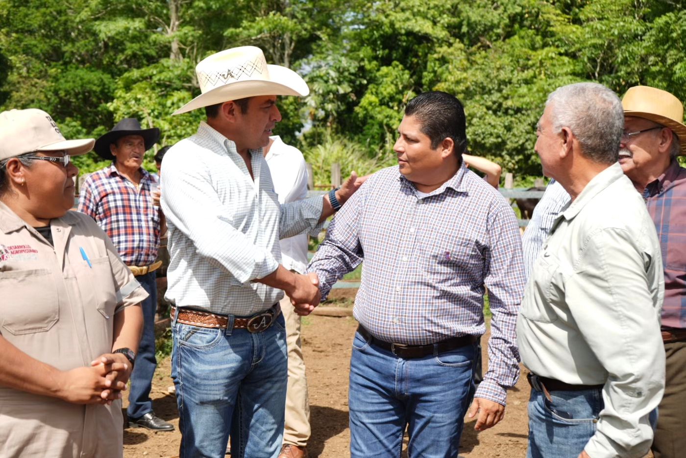 verificar el estado de salud del ganado
