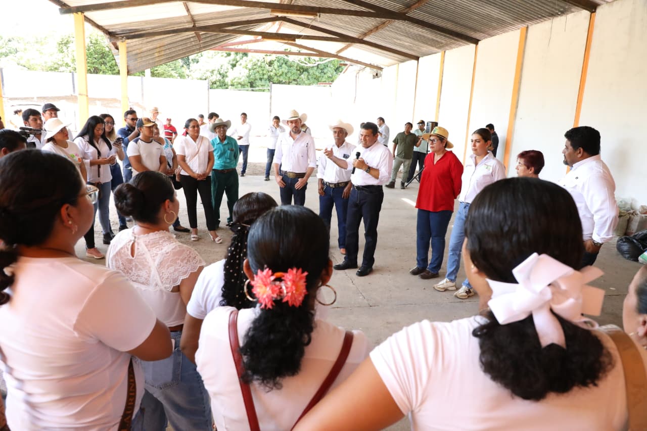 100 millones de árboles en Tabasco