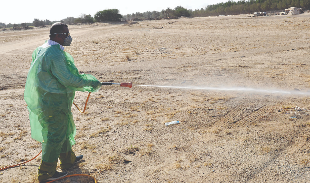 Tecnología que transforma desiertos en vida