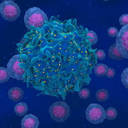 El virus del VIH ahora es visible en las células, durante mucho tiempo era "invisible"