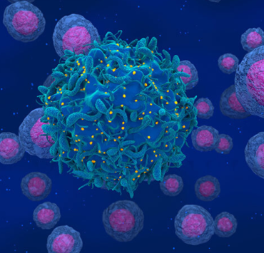 El virus del VIH ahora es visible en las células, durante mucho tiempo era "invisible"