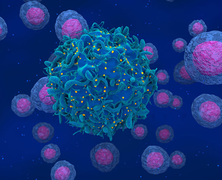 El virus del VIH ahora es visible en las células, durante mucho tiempo era "invisible"