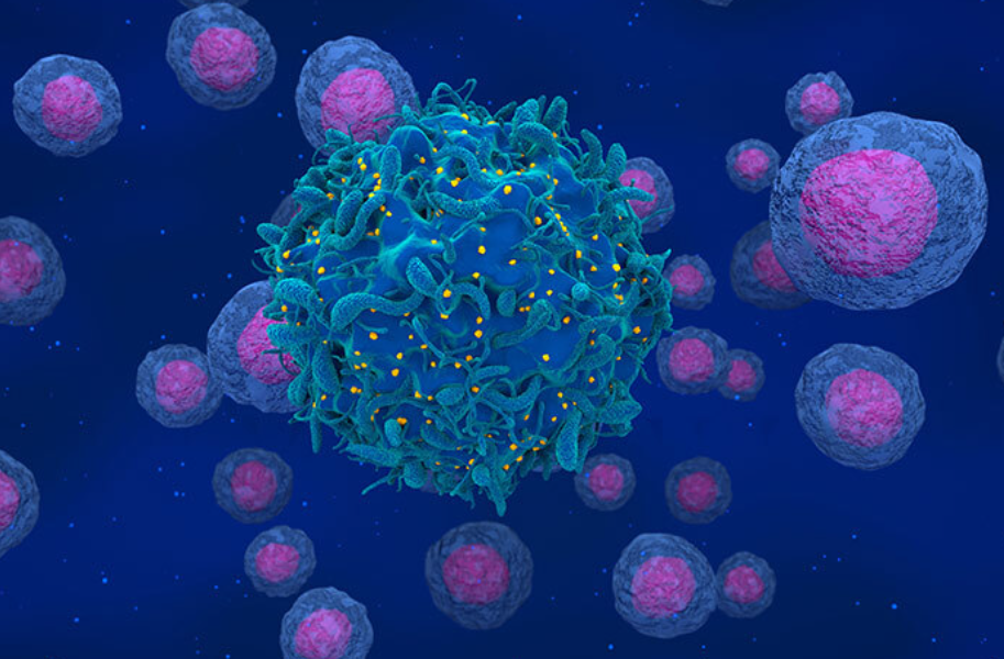 El virus del VIH ahora es visible en las células, durante mucho tiempo era "invisible"