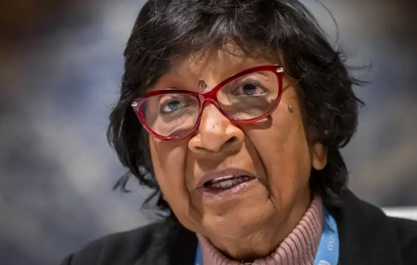 ¿Qué dicen los investigadores de la ONU?