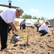 Crónica Jornada Estatal de Reforestación