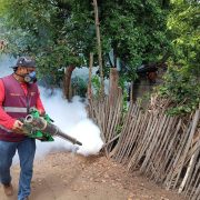 Medidas preventivas contra el dengue