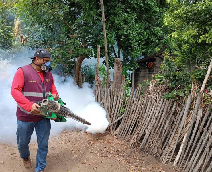 Medidas preventivas contra el dengue