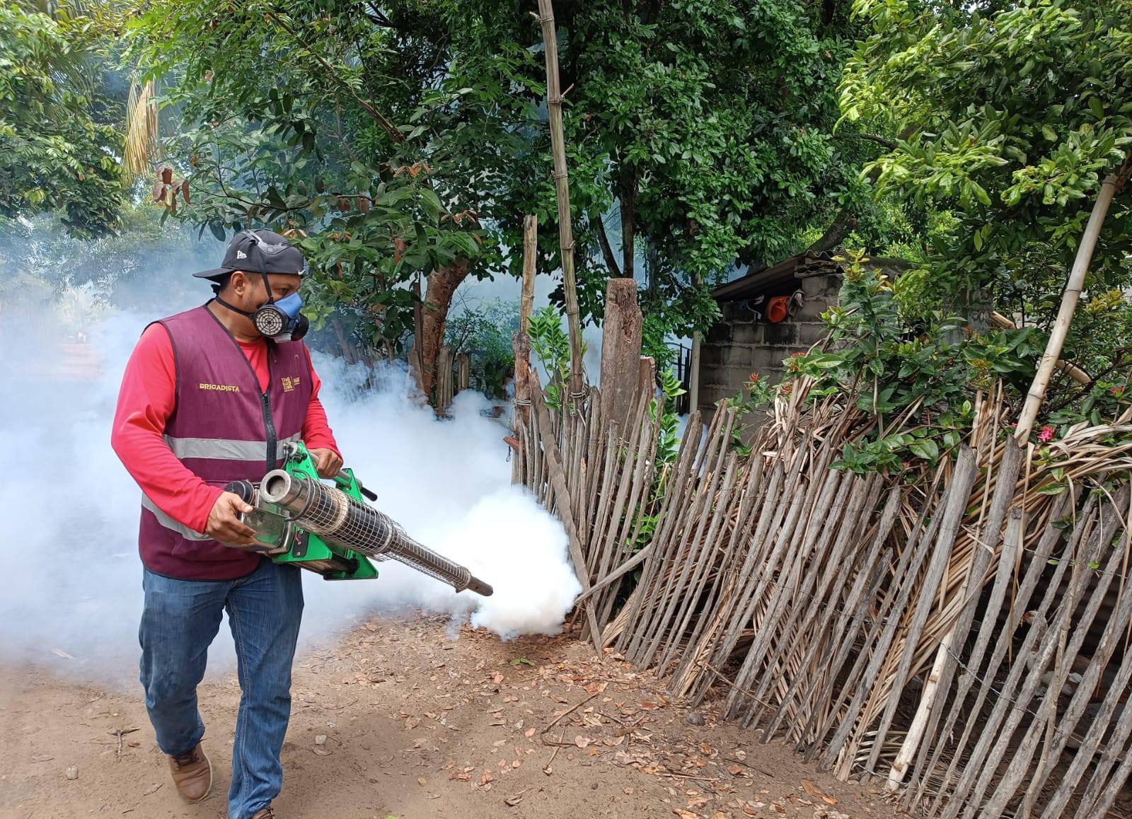 Medidas preventivas contra el dengue