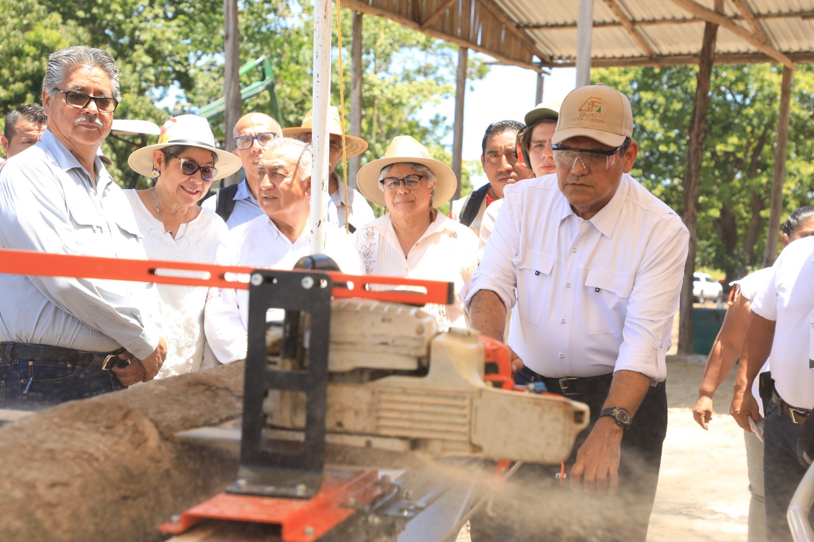 gran Expo Forestal Balancán 2025