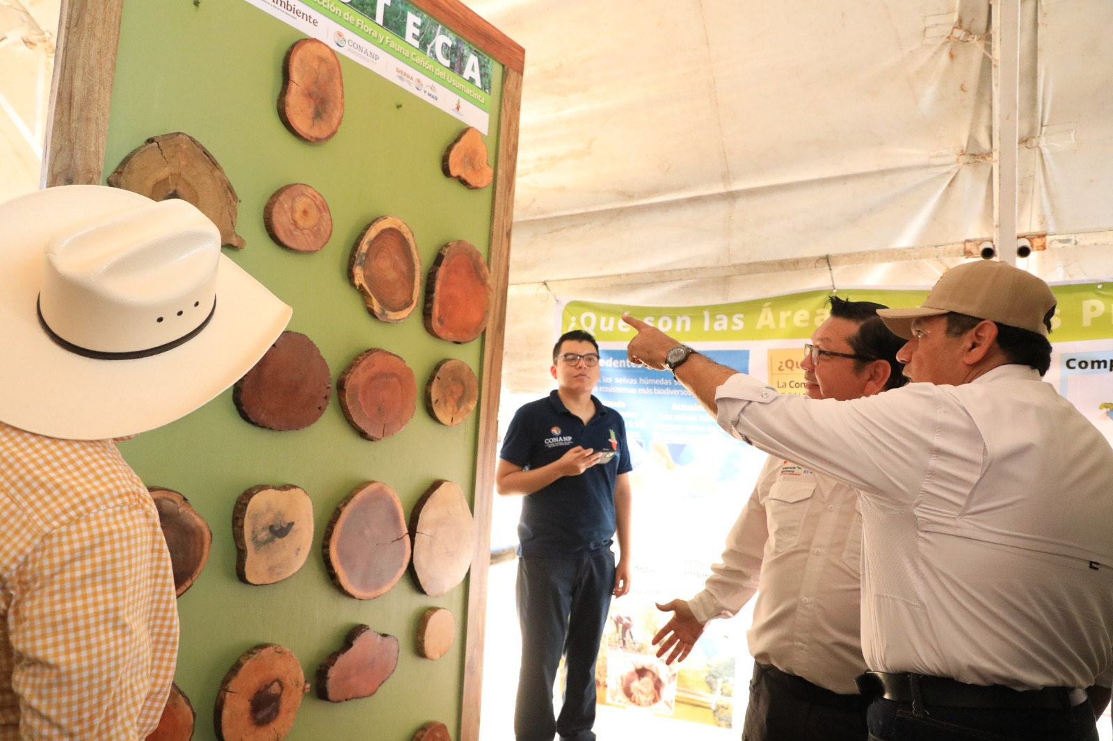 grupos Agrotiempo y Acción Forestal