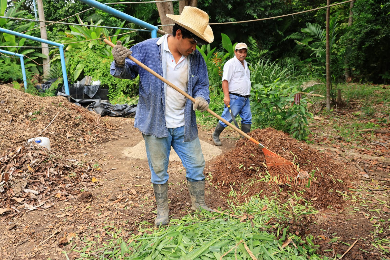 reforestar es fundamental