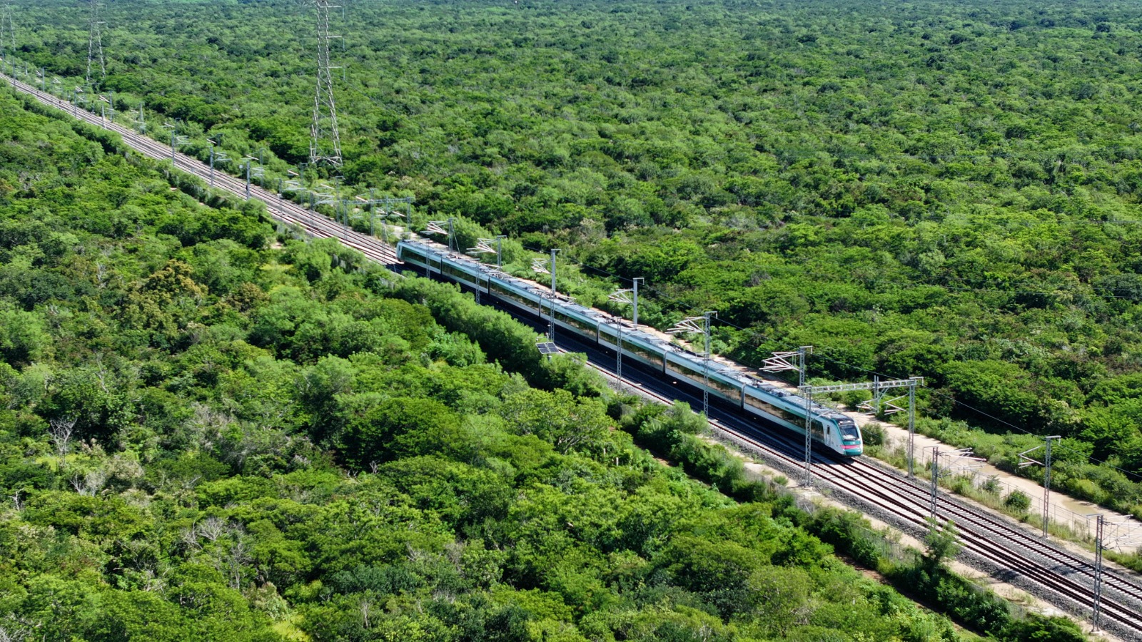 vagones del Tren Maya