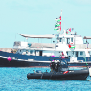 Israel intercepta nueva flotilla que iba caminó a Gaza para brindar ayuda