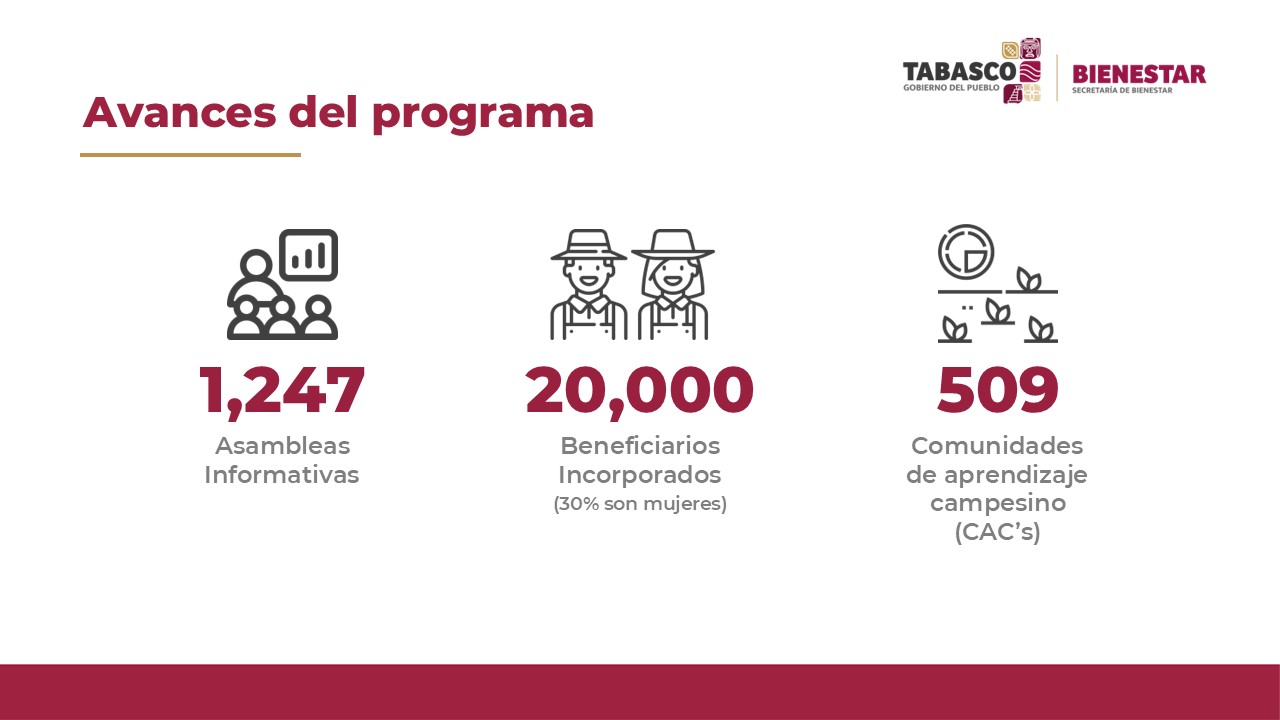 Cobertura municipal y organización comunitaria