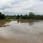 Mantienen monitoreo permanente de ríos