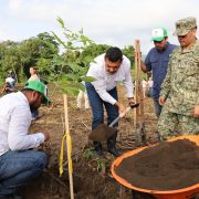 Logran hazaña en reforestación en Tabasco y rebasan meta
