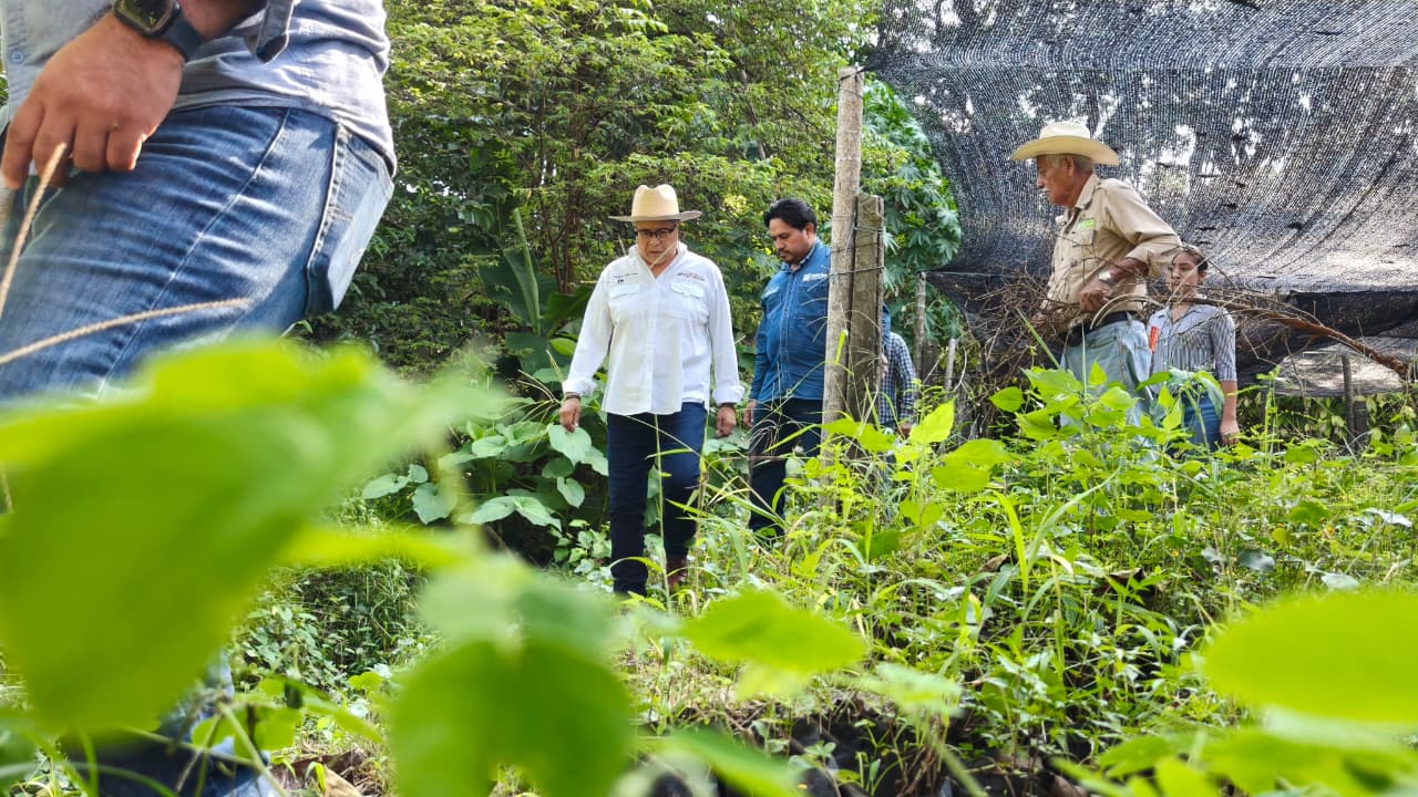 Agricultura responsable y libre de agroquímicos
