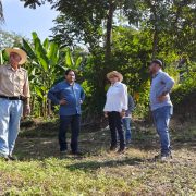 La reproducción vegetal tiene un santuario en Las Lilias