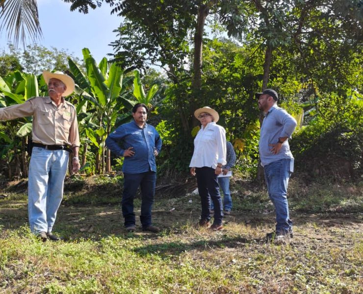 La reproducción vegetal tiene un santuario en Las Lilias