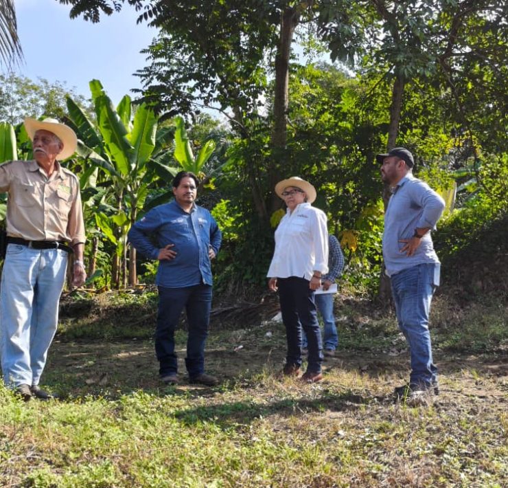 La reproducción vegetal tiene un santuario en Las Lilias