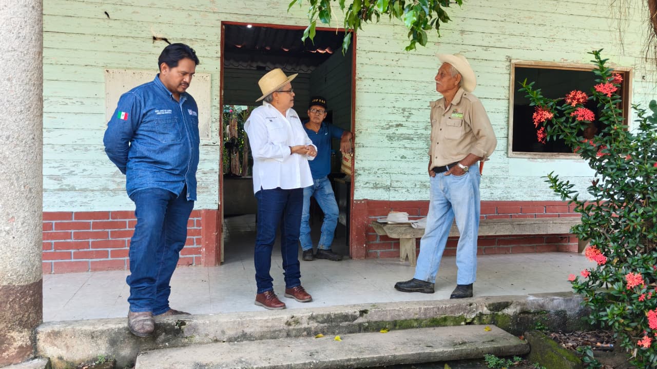 La reproducción vegetal