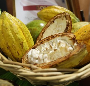 Tabasco se convierte en capital mundial del chocolate