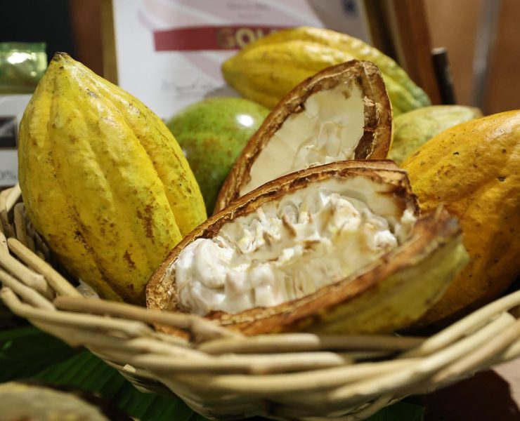 Tabasco se convierte en capital mundial del chocolate