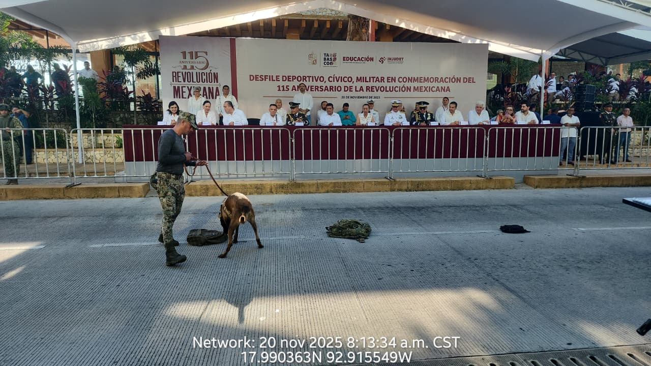 elementos de la Armada 