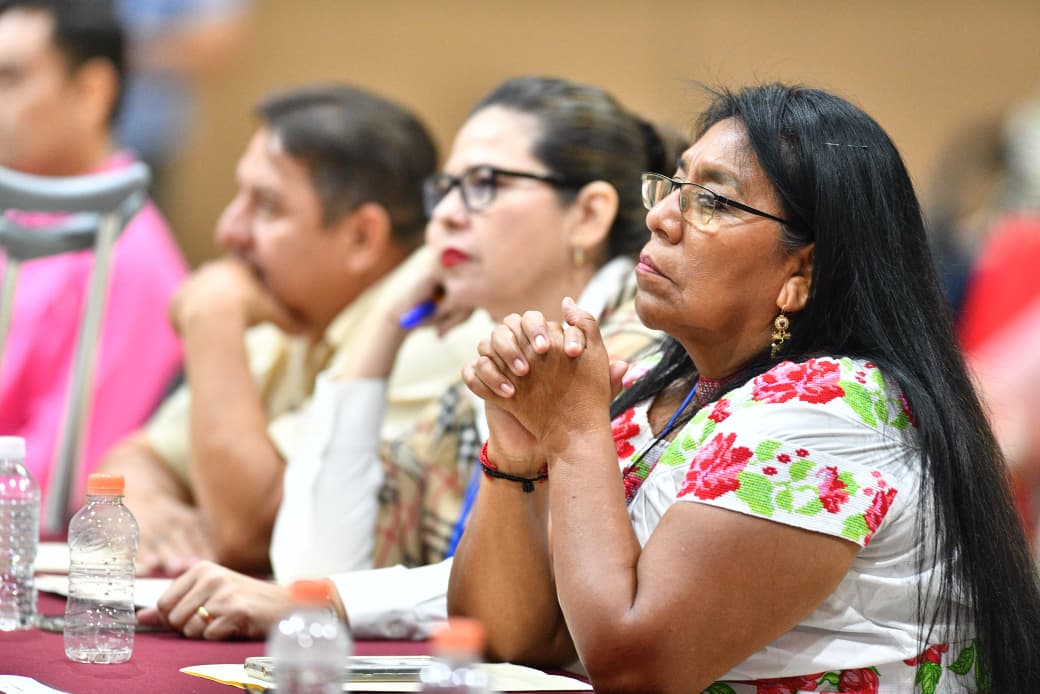 iniciativa o proyecto definitivo sobre esta reforma electoral