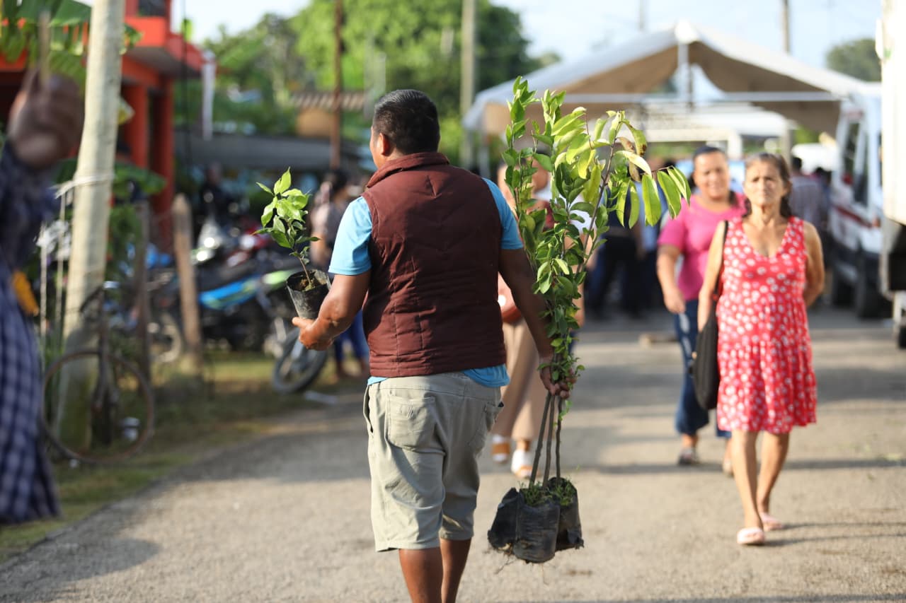productores de Comalcalco