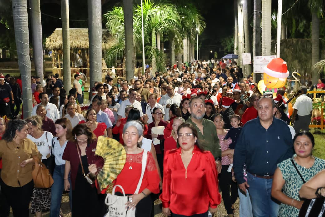 Un recorrido por los nacimientos