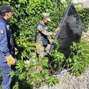Campaña de descacharrización en Centla con participación de la Marina