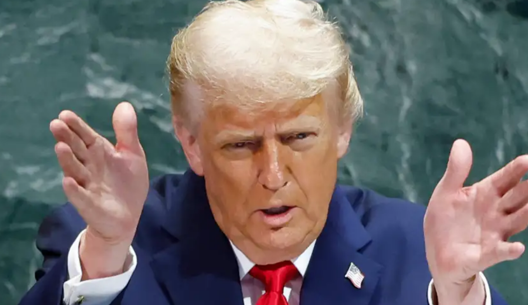 La Junta de Paz y su alcance internacional