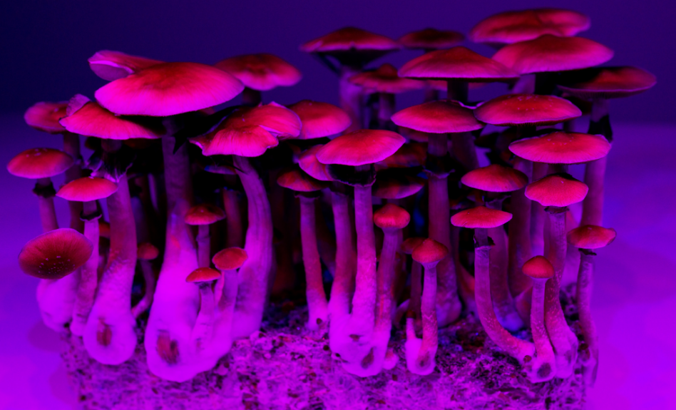 Cambios neuronales observados