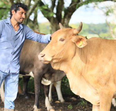 Crédito Ganadero a la Palabra transforma la vida de familias