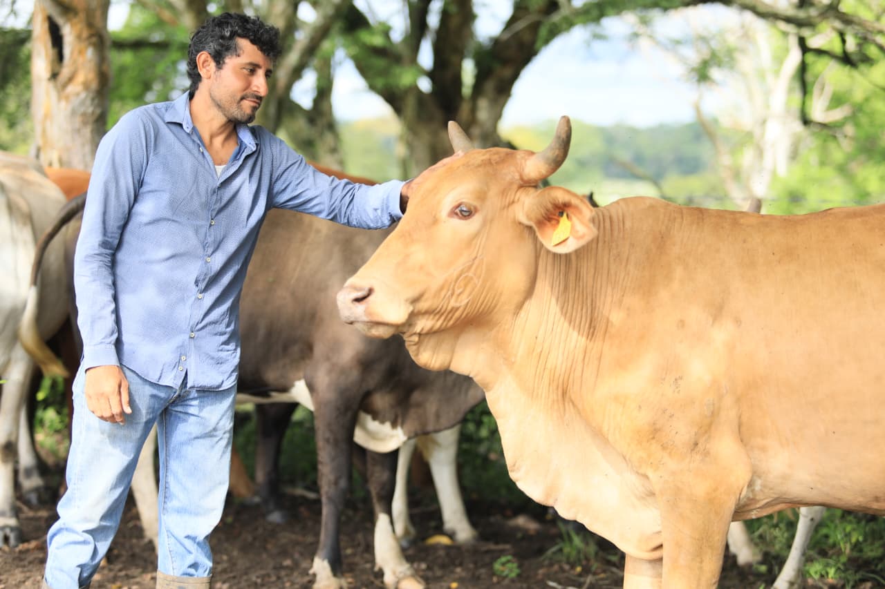 Crédito Ganadero a la Palabra transforma la vida de familias