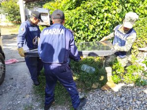 Elementos de la Secretaría de Marina y personal de salud realizan labores de recolección de llantas y desechos durante la Campaña de descacharrización en Centla para prevenir enfermedades.