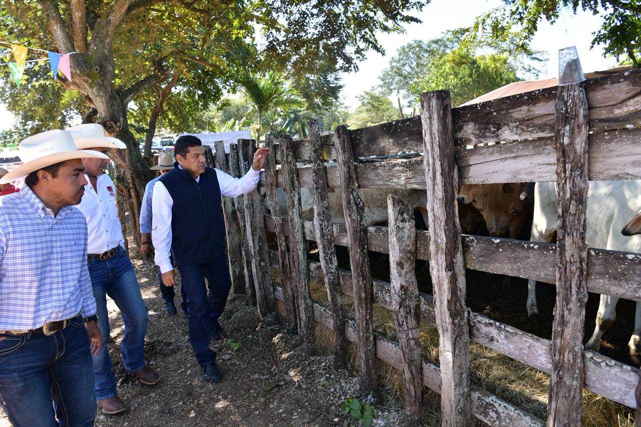 Entrega Gobierno del Pueblo Crédito Ganadero a la Palabra en Balancán