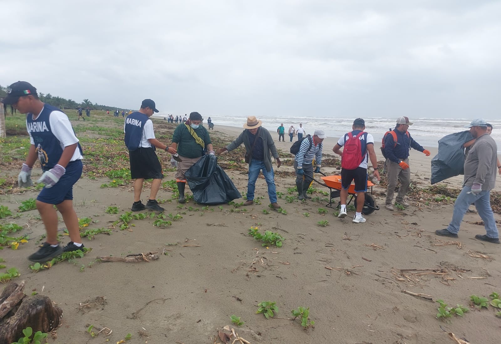Fomento a la conciencia ambiental