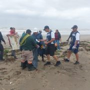 Marina realiza Campaña nacional de limpieza de playas y costas en Tabasco