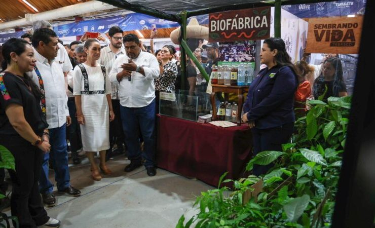 Oriente de Comalcalco se iniciará la planta de Chocolate Bienestar