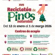 Reciclatón de Pinos Naturales en Tabasco