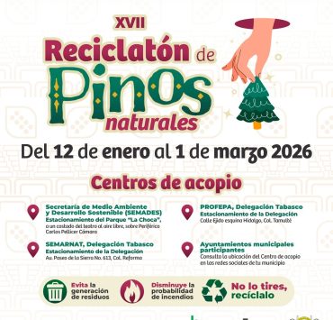Reciclatón de Pinos Naturales en Tabasco