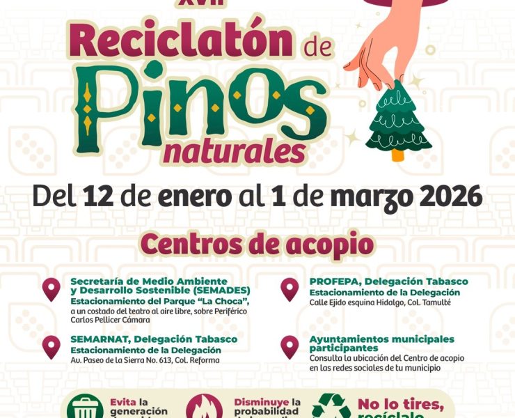 Reciclatón de Pinos Naturales en Tabasco