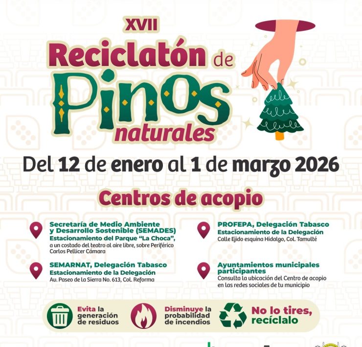 Reciclatón de Pinos Naturales en Tabasco