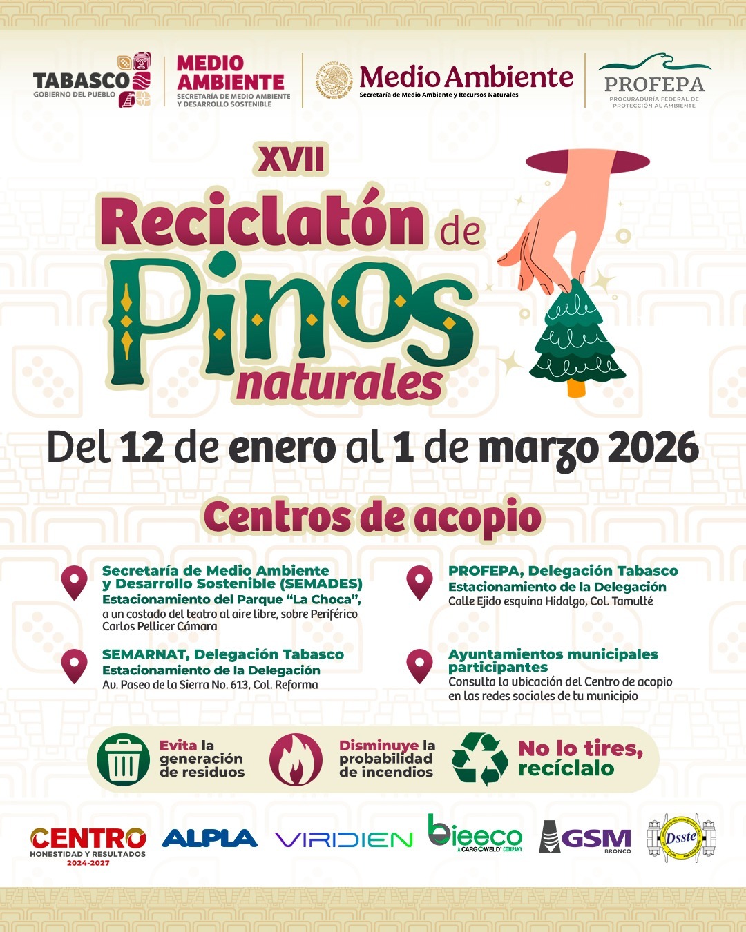 Reciclatón de Pinos Naturales en Tabasco