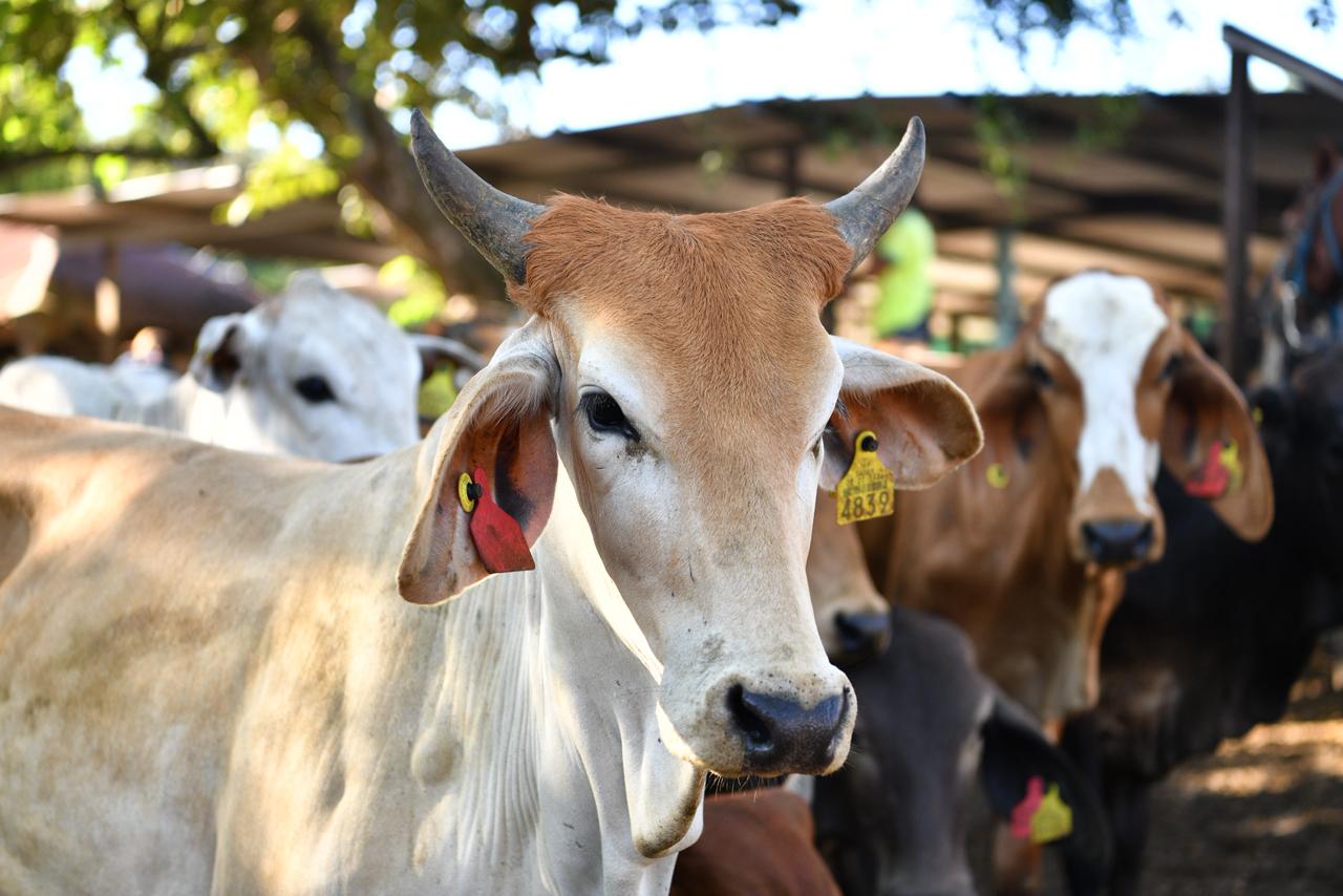 Reconocen respaldo histórico al campo